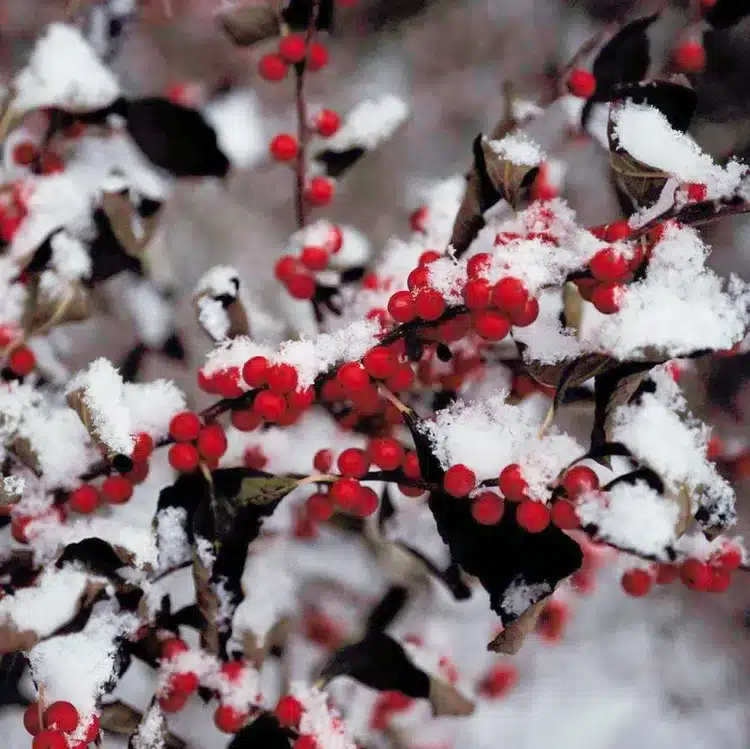10 Tips to Prep Your Home for Winter
